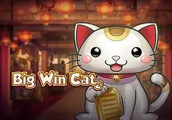 Big Win Cat