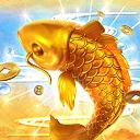 FORTUNE KOI