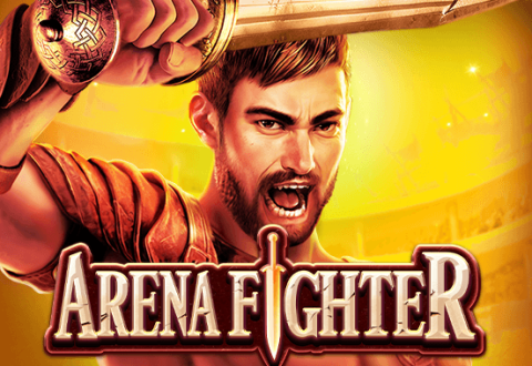 Arena Fighter