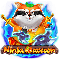 Ninja Raccoon